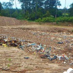 Environmental fears hit Queensland