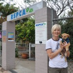 RSPCA prepares for Wacol move