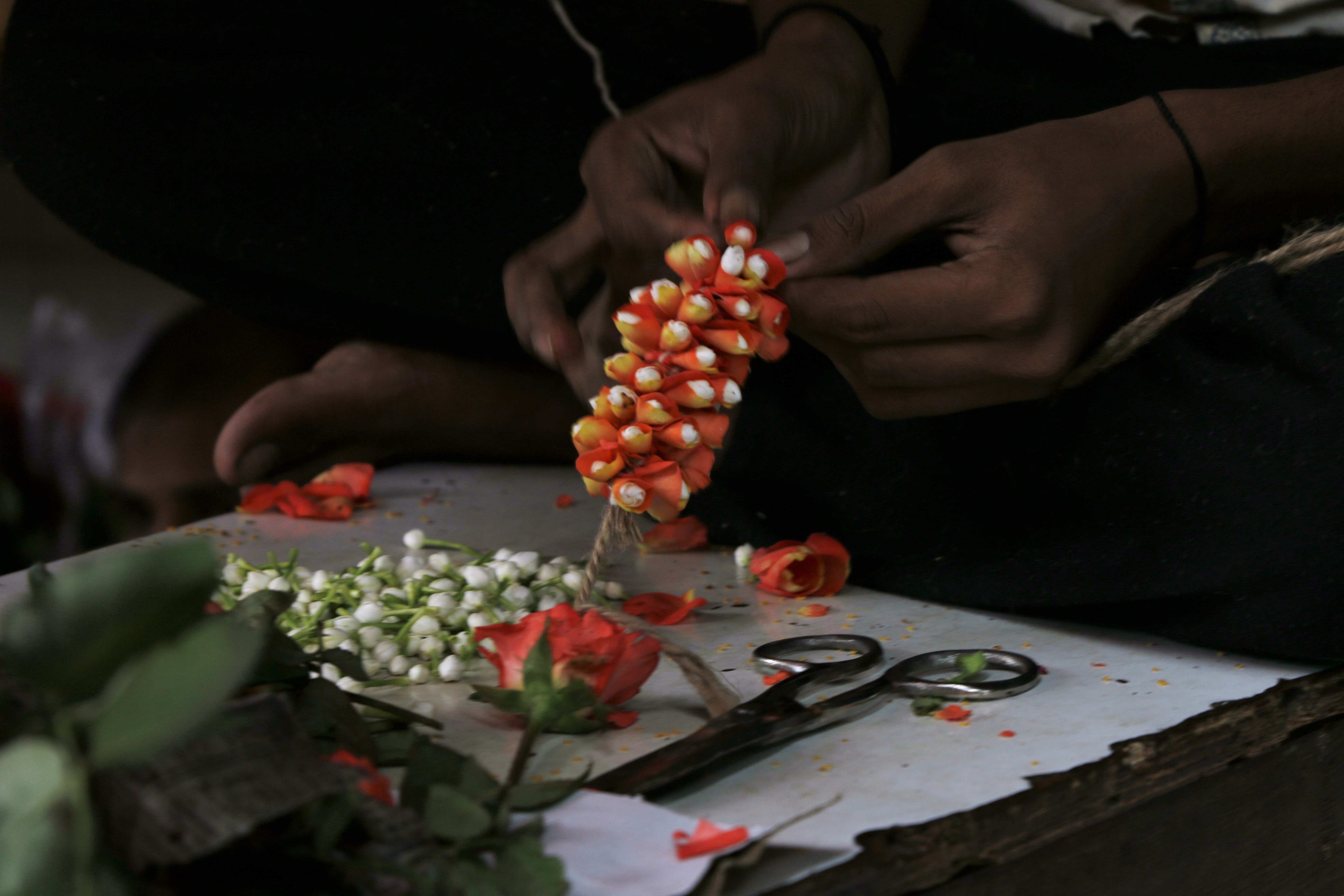 Mumbai in Bloom