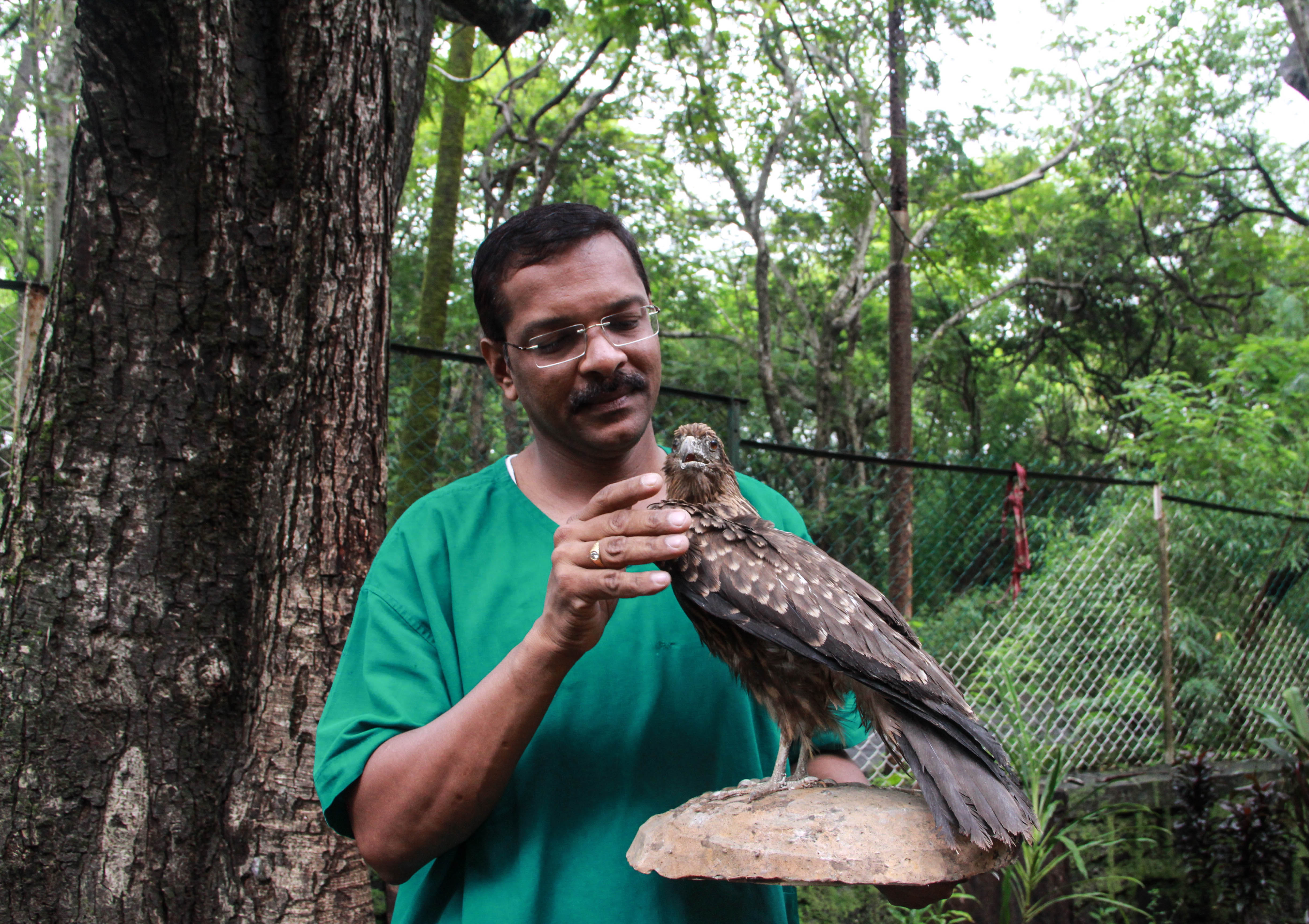 The loneliest taxidermist: how Dr Santosh Gaikwad is fighting to save the legacy of India’s wildlife