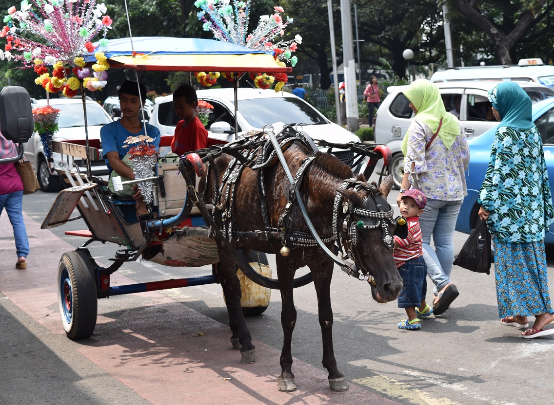 Exposing the dark side of Indonesia Tourism