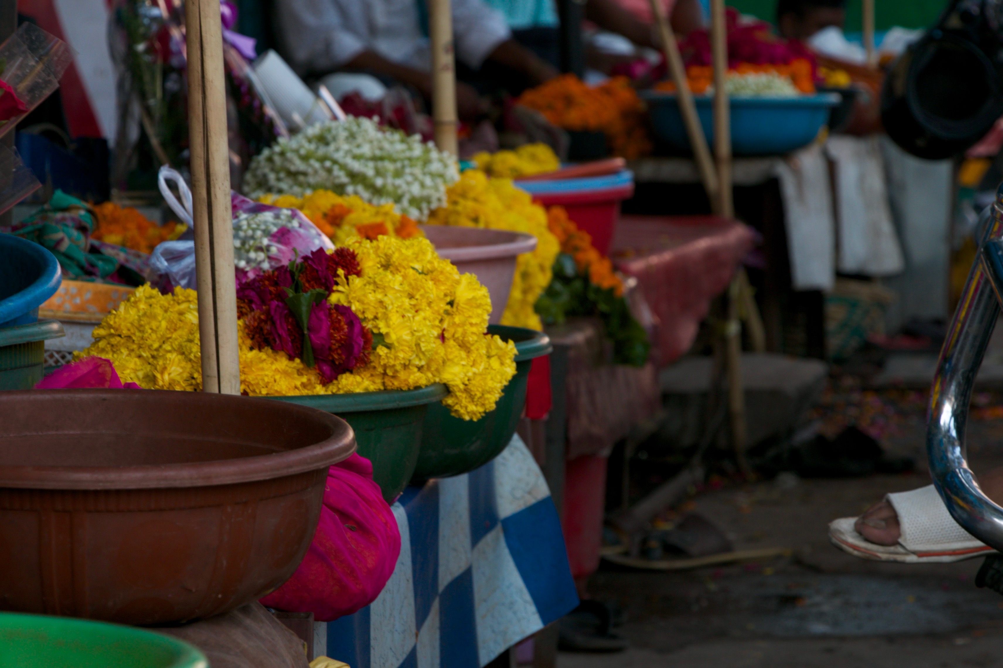 Blessings Between Petals