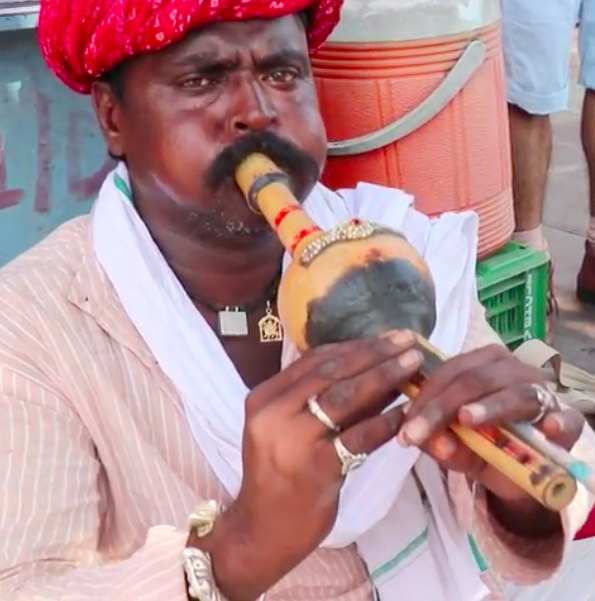 Snake charmers of Jaipur