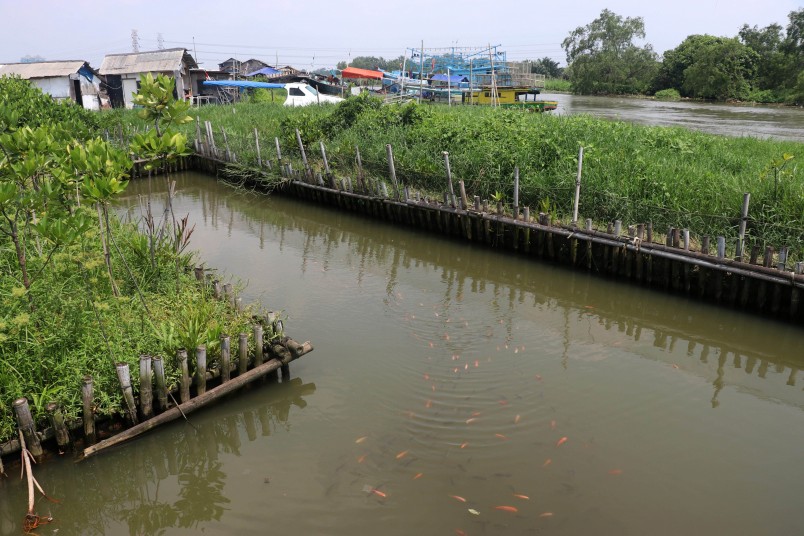 One of the enclosed areas built to farm local fish and other aquaculture species in Muara Angke 