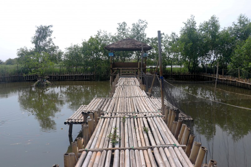 Bamboo boardwalks and shelters in the Muara Angke mangroves