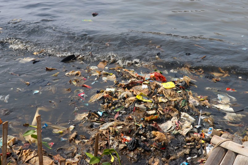 Rubbish in the tides