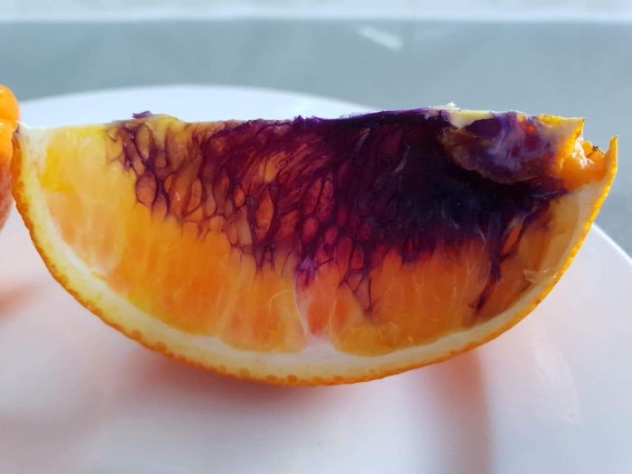 The bizarre Brisbane case of the colour-shifting orange