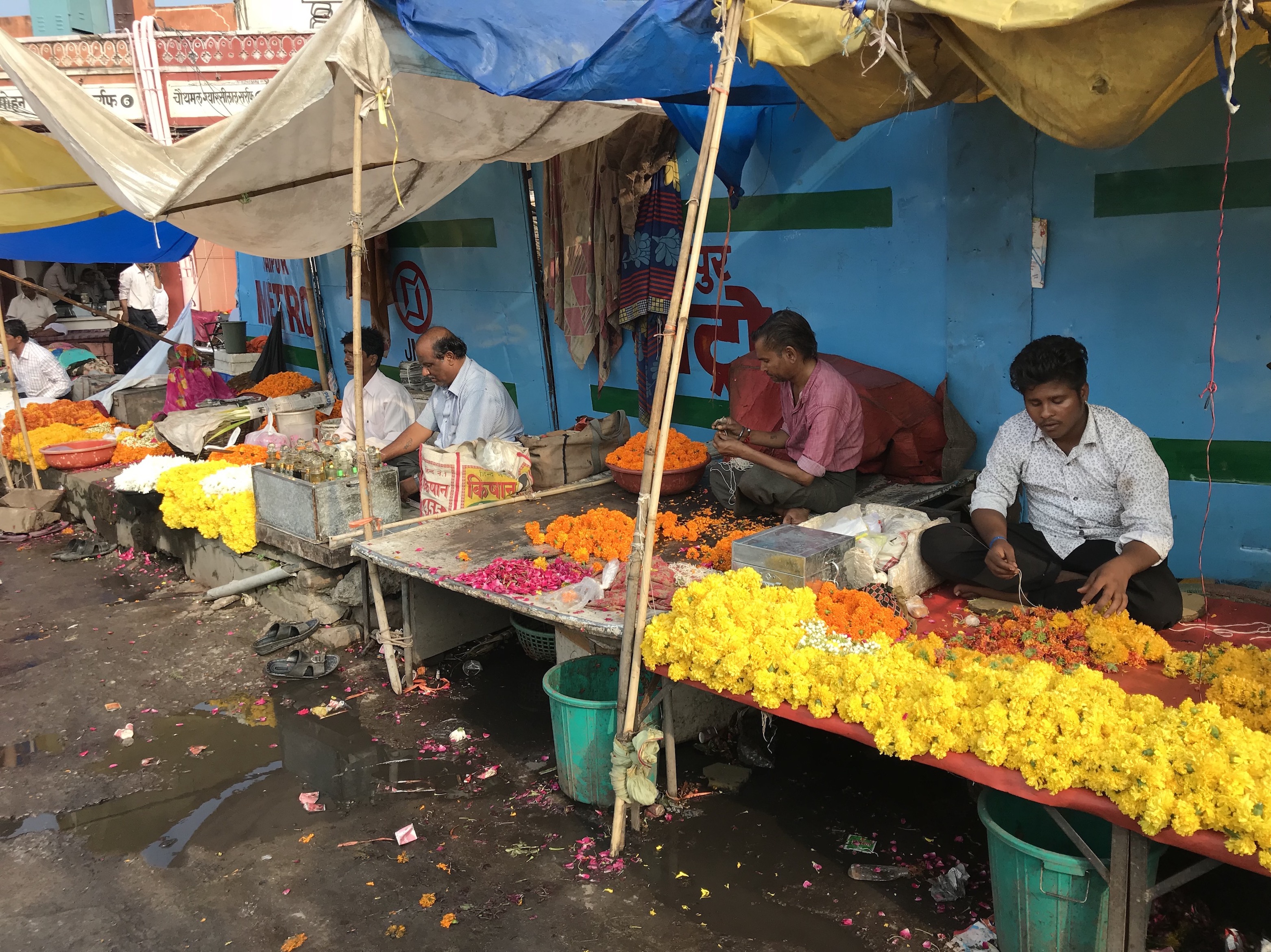 Radiance: The Colours and People of Jaipur.