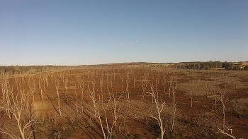 Calls for More Mental Health Funding in Queensland’s Rural Areas