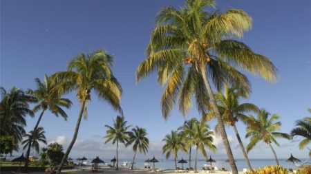 The plastic bottle you threw might have gone to this island