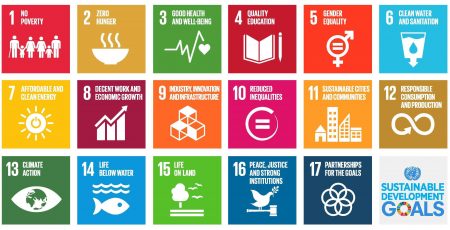 We Can Make a Difference! A critical reflection of the SDGs
