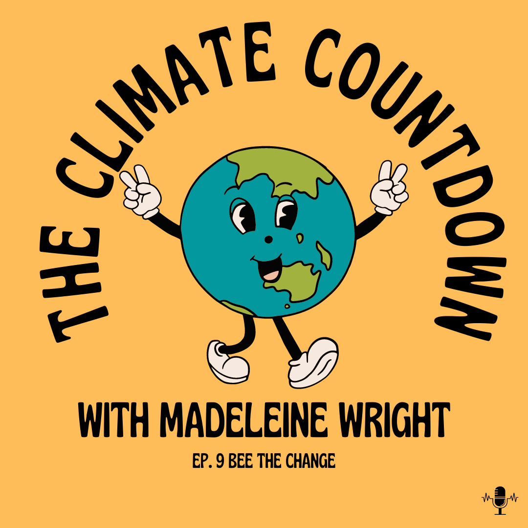 The Climate Countdown