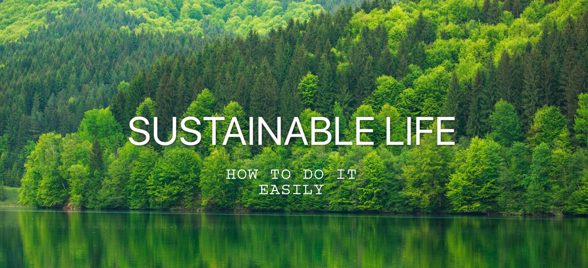 Beginner’s Guide to Life Sustainability
