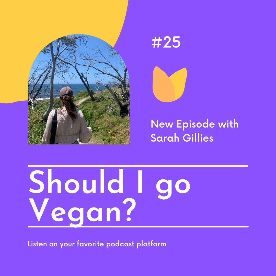 Sustainable Weekly Chats Podcast – Episode: Should I Go Vegan?