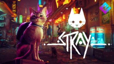 COMU 3150: Create Promotional Culture x Stray