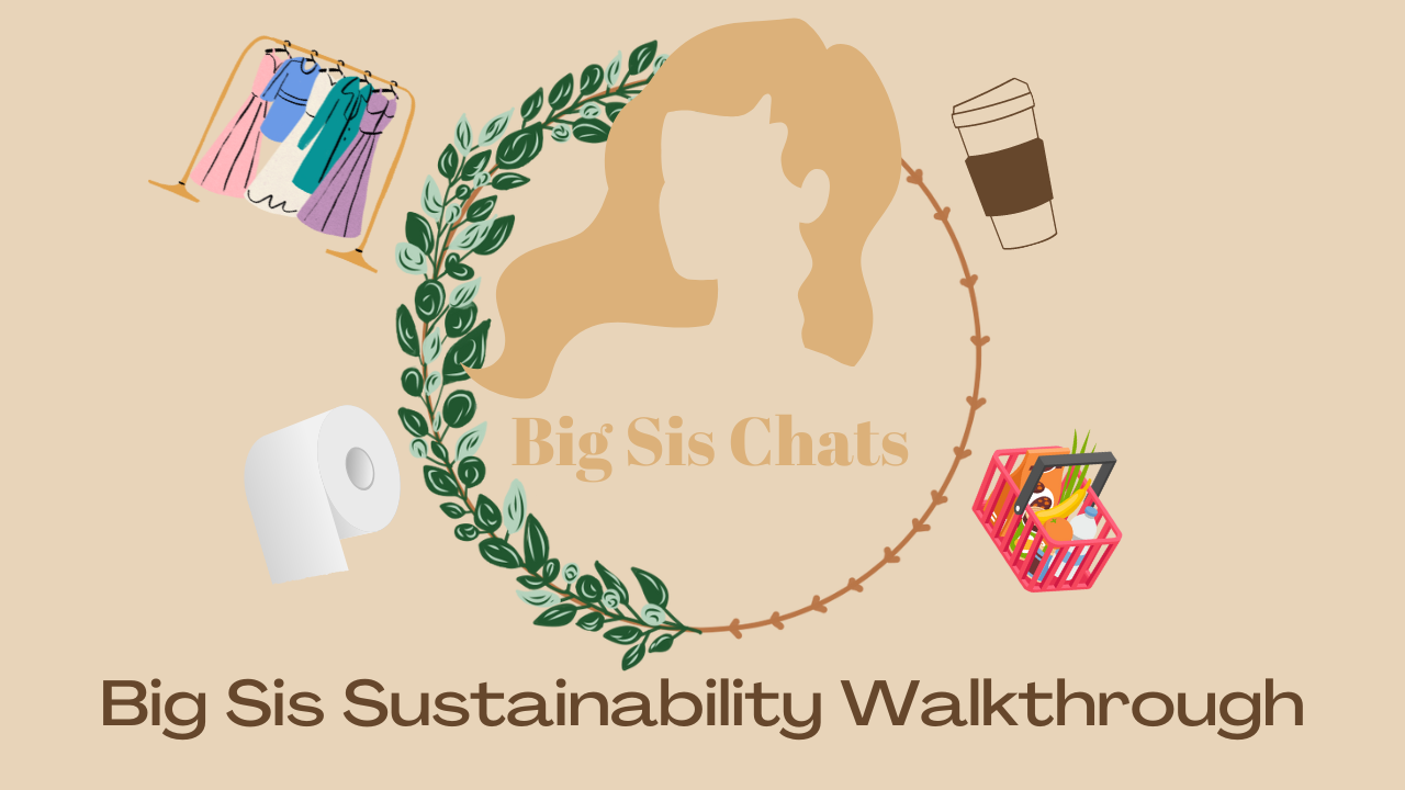 Big Sis Chats Sustainability