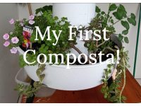 My First Composta!