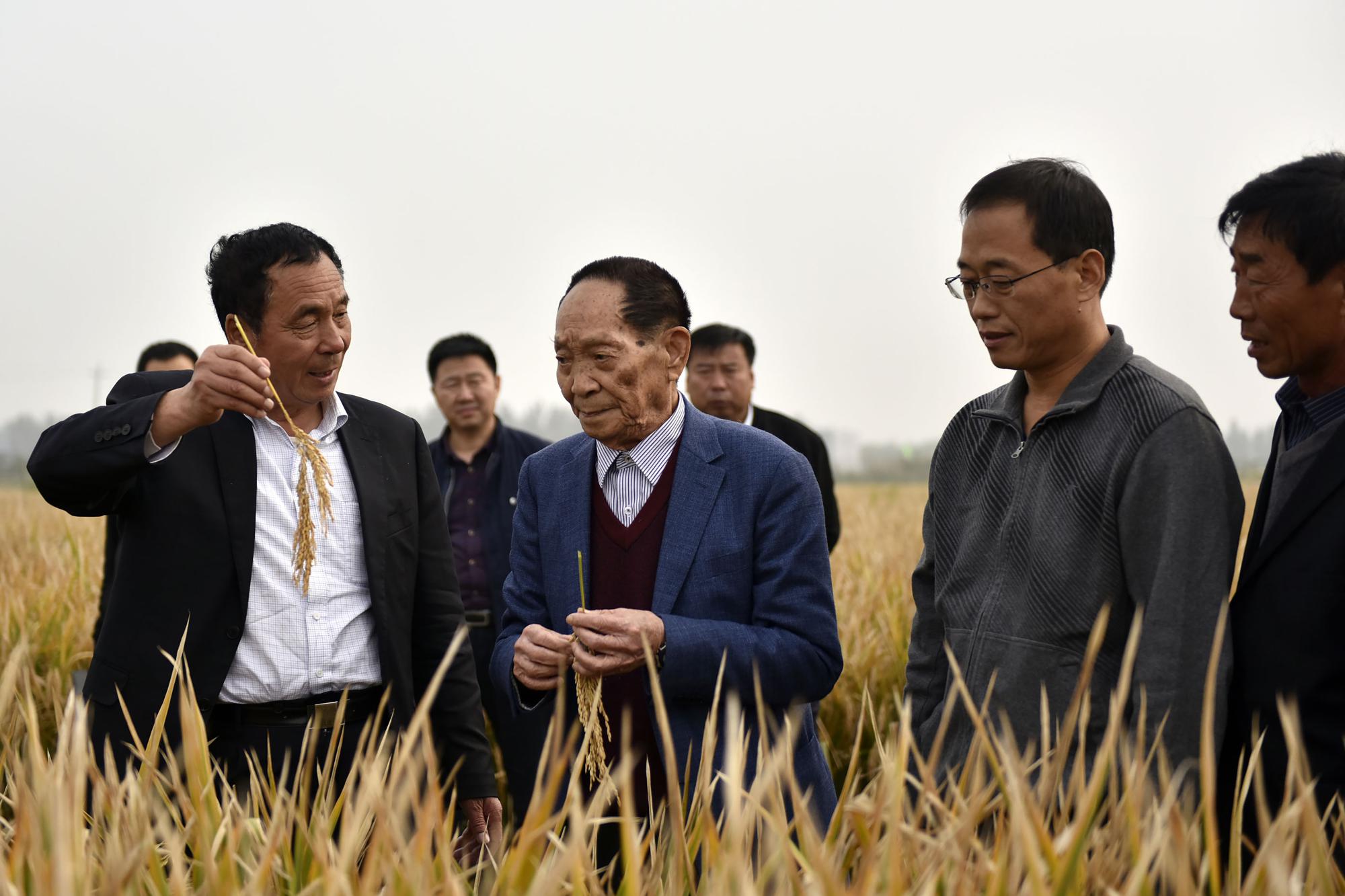 The sustainable future of global agriculture: Mr. Yuan – Father of Hybrid Rice