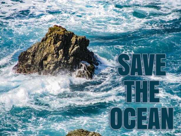 Helping Save the Ocean: A Story Blog of My Sustainability Experience