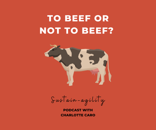 To beef or not to beef? Sustai-agility: Podcast with Charlotte Caro
