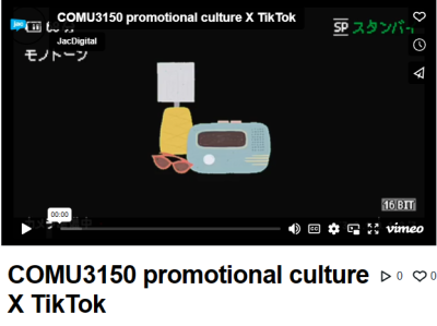 Promotional Culture X TikTok